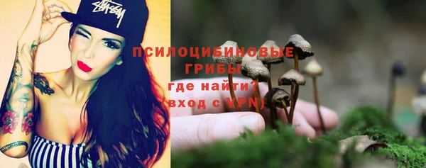 гидропоника Касимов