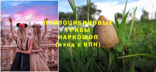 гидропоника Касимов