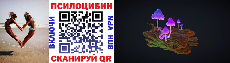 сайты даркнета какой сайт  Медногорск  Псилоцибиновые грибы Cubensis 