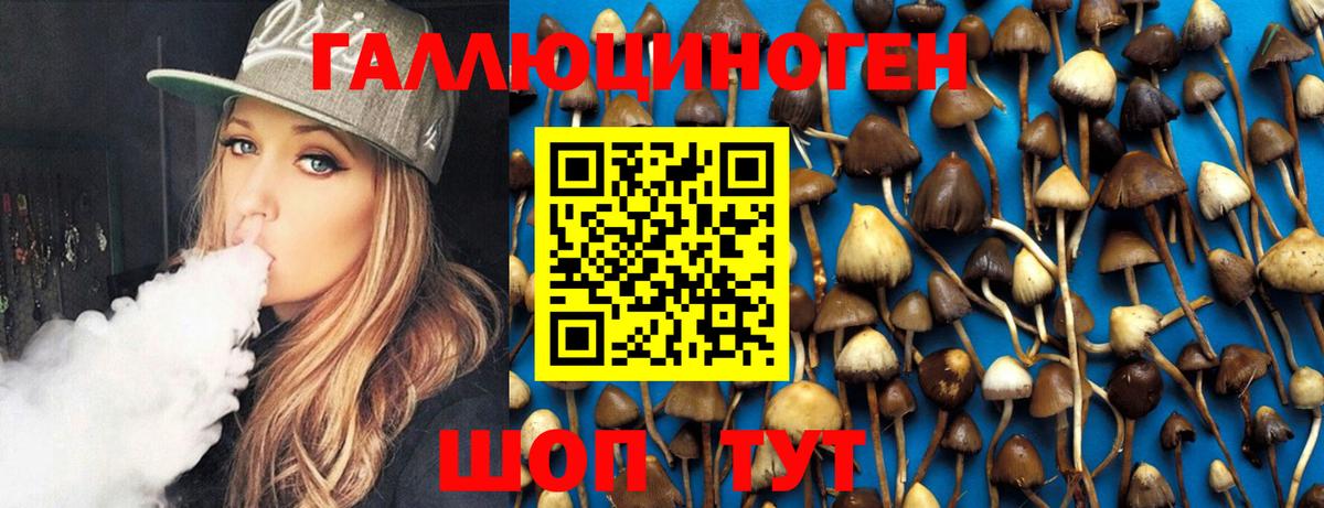 Медногорск  Псилоцибиновые грибы Magic Shrooms  Галлюциногенные грибы Psilocybine cubensis  Вход с VPN 